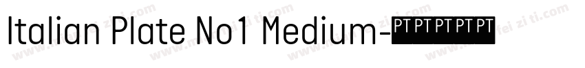 Italian Plate No1 Medium字体转换